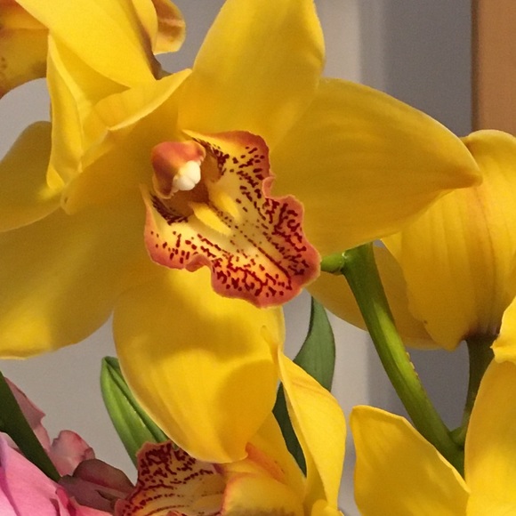 Meet your Posher, Jessica - Picture 1 of 1